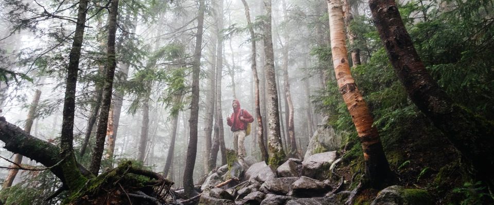 Heroin's Toll Is Nothing Sublime